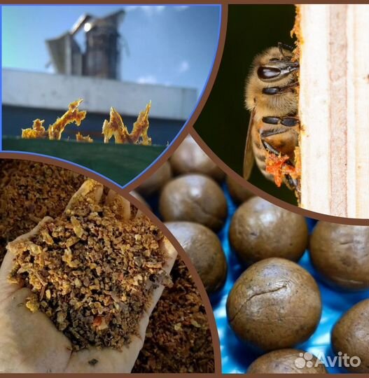 Прополис очищеннный