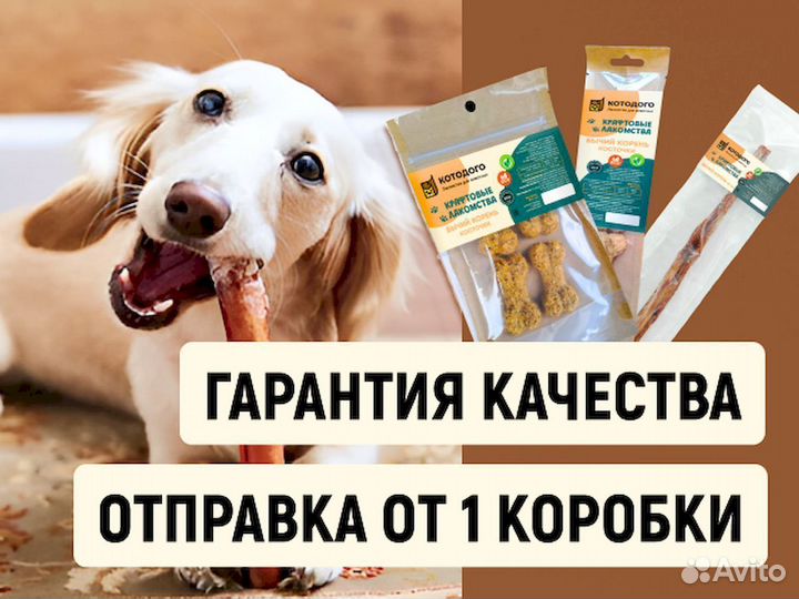 Корм для собаки. Без химии