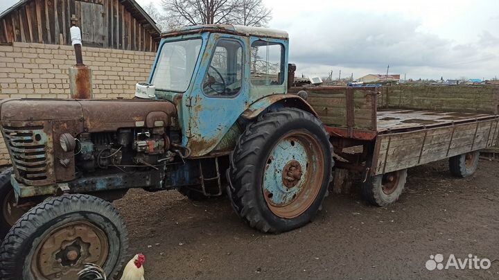 Трактор МТЗ (Беларус) 50, 1971