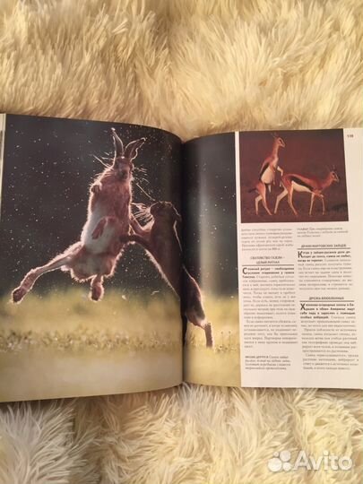 1000 чудес природы