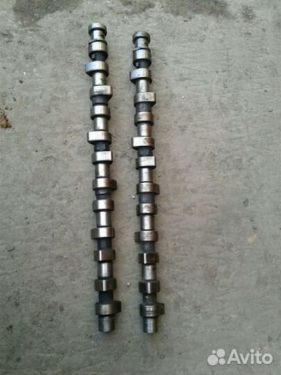 Распредвал бмв м51