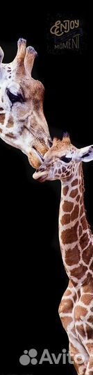 Интерьерные панели IP 254