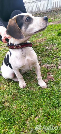 Девочка Герда в добрые руки