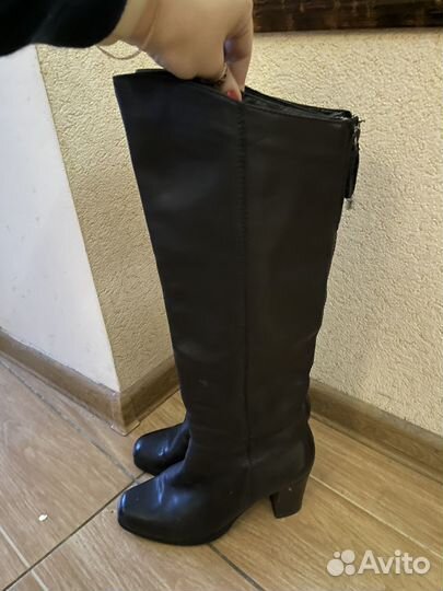 Сапоги еврозима