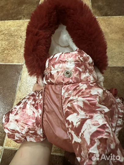 Зимний костюм для собаки