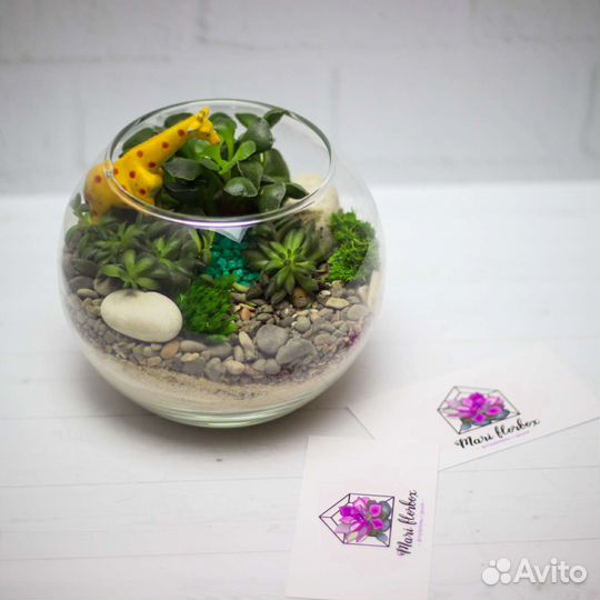 Флорариум суккуленты подарок детям ребенку