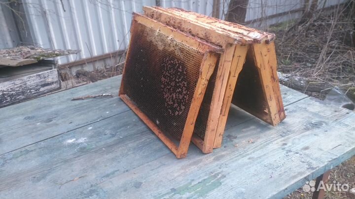 Сушь для пчёл