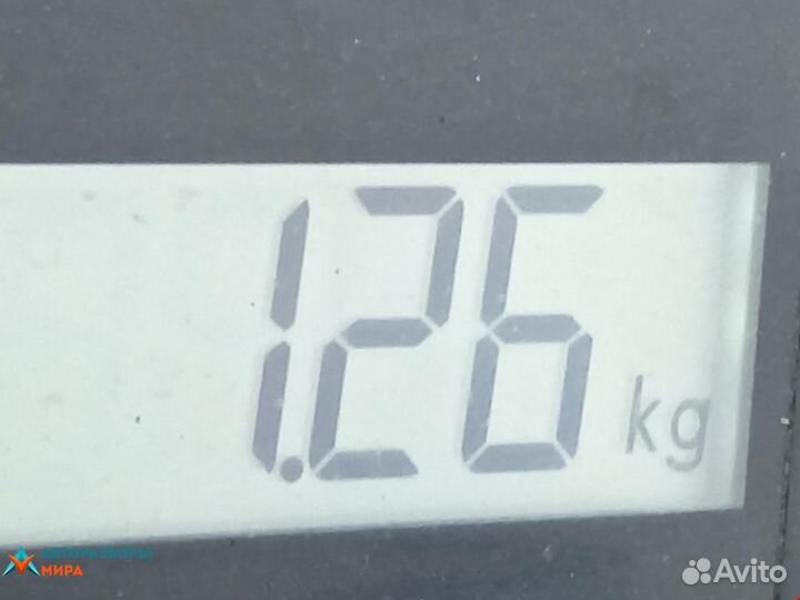 Петля двери Volkswagen Golf 4 2001