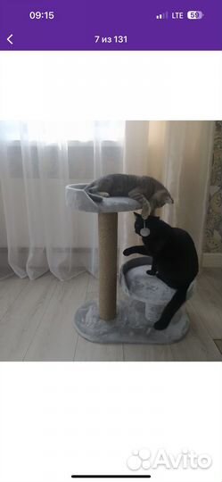 Когтеточка для кошек