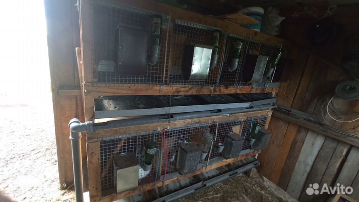 Клетки для кроликов