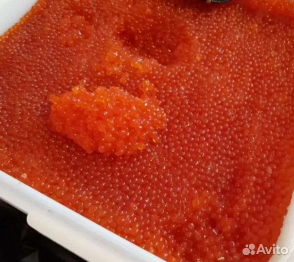 Красная икра 2023