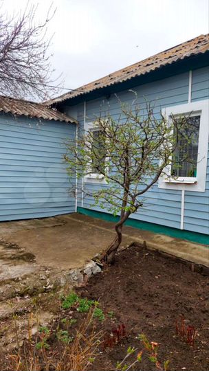 Дом 65 м² на участке 4 сот.