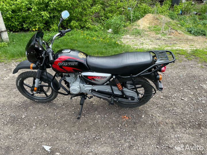 Баджаж боксер