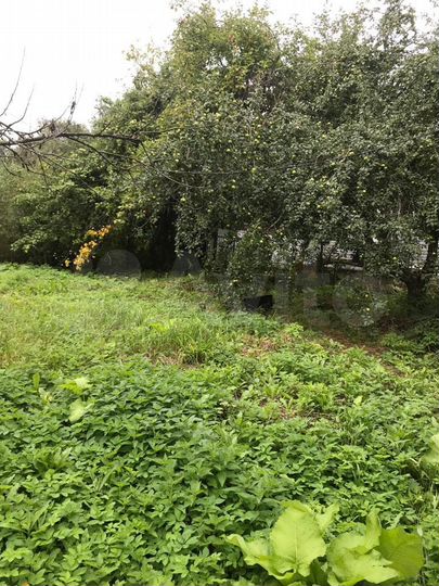 Дача 100 м² на участке 6 сот.