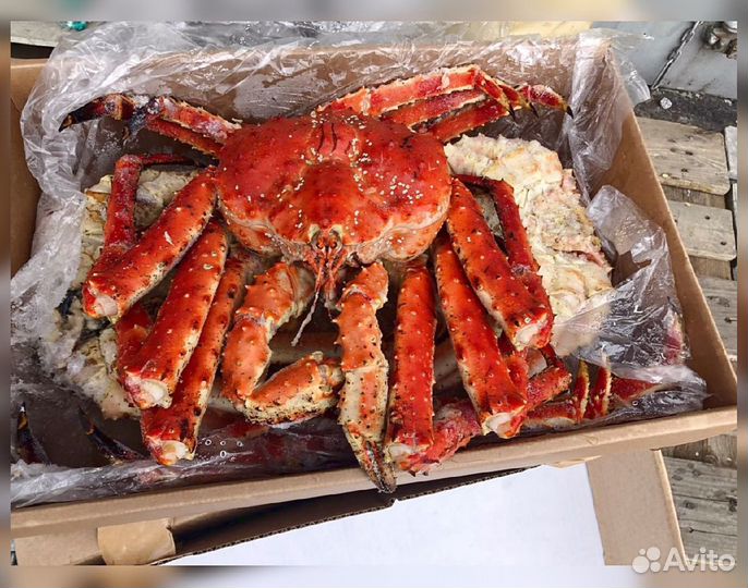 Краб Камчатский