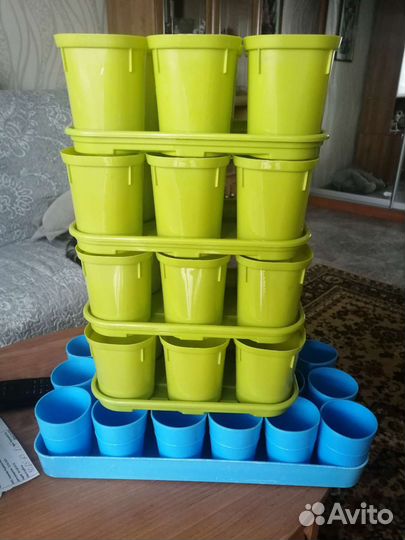 Формы для рассады