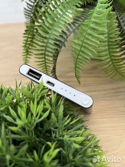 Портативное зарядное устройство PowerBank 5000 mah