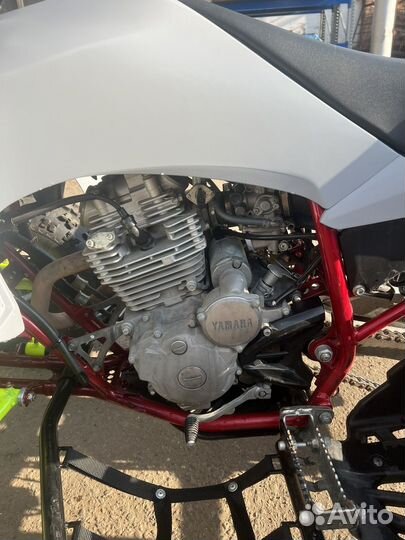 Yamaha raptor 250r