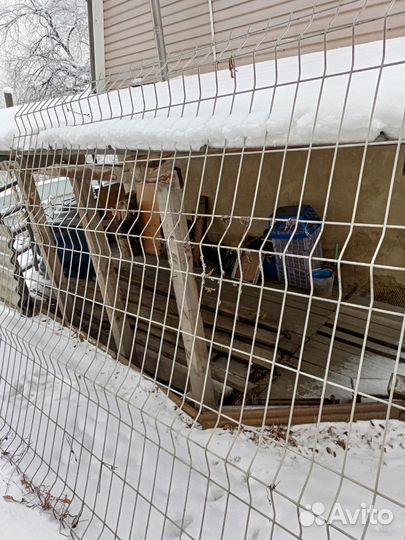 3Д сетка на забор