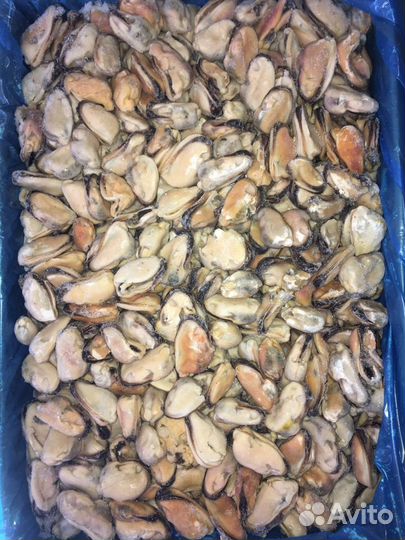 Мясо мидий 100-200 Чили