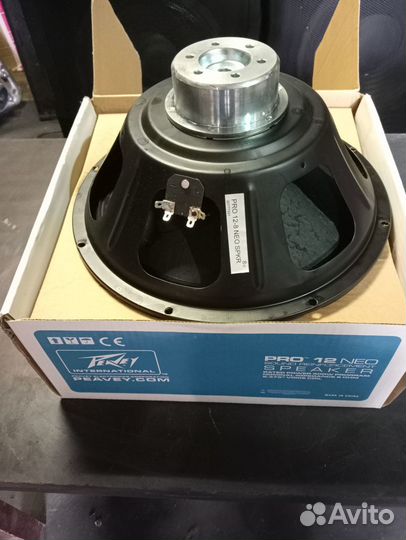 Профессиональные динамики для сцены