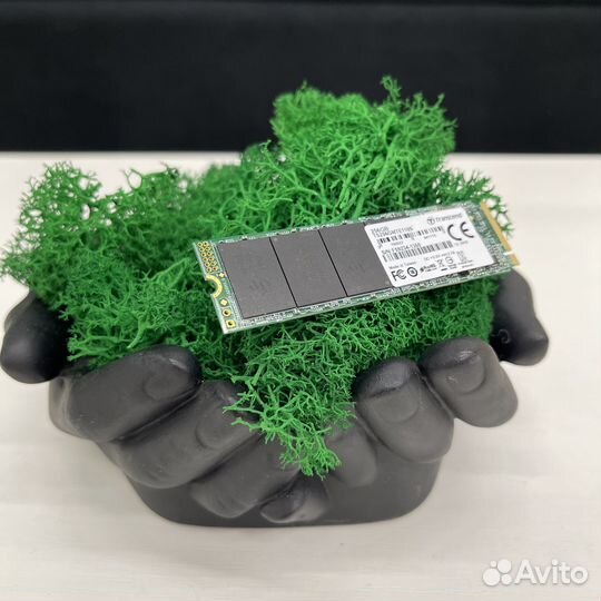 Ssd m2 256 Transcend