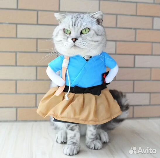 Соб20. Карнавальный костюм для животных