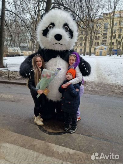 Поздравление от панды