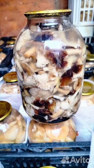 Грибы соленые и маринованные