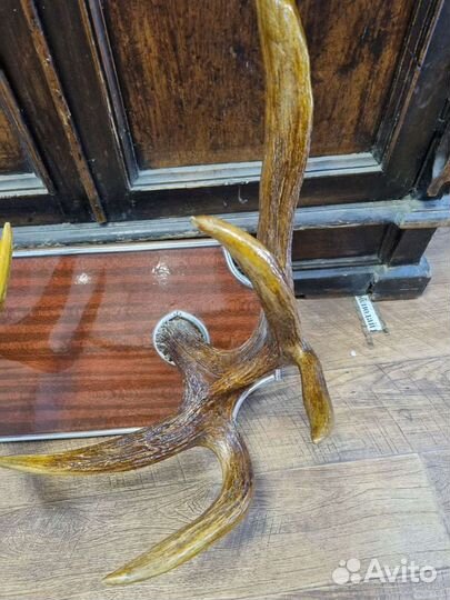 Большие рога, общий вес с подставкой 9100 кг