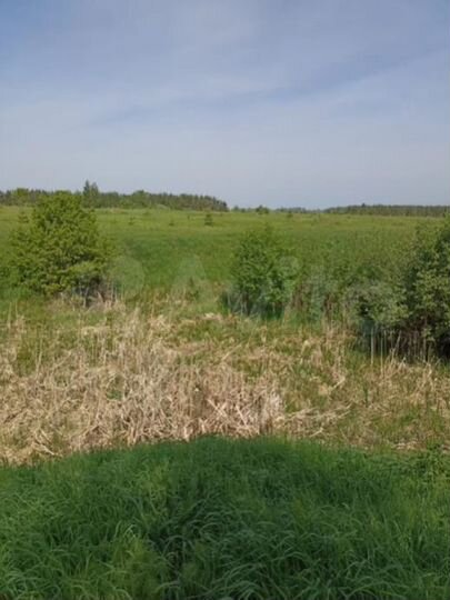 Участок 7,8 га (промназначения)