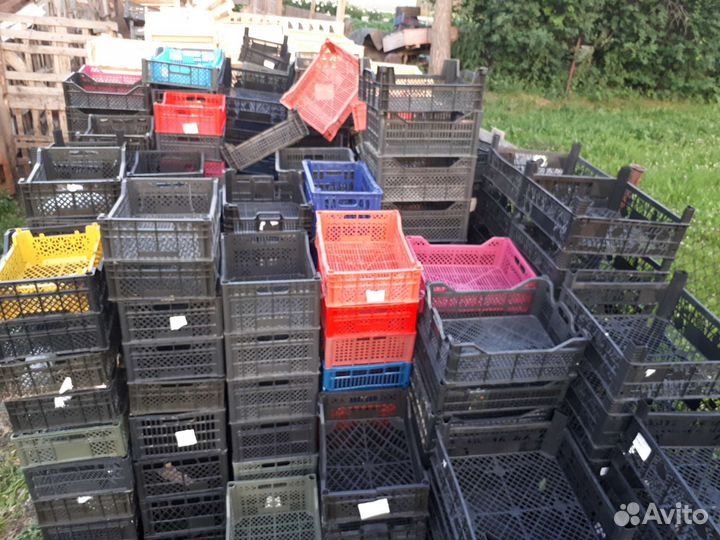 Пластиковые ящики для овощей бу