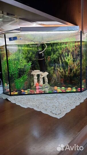 Аквариум