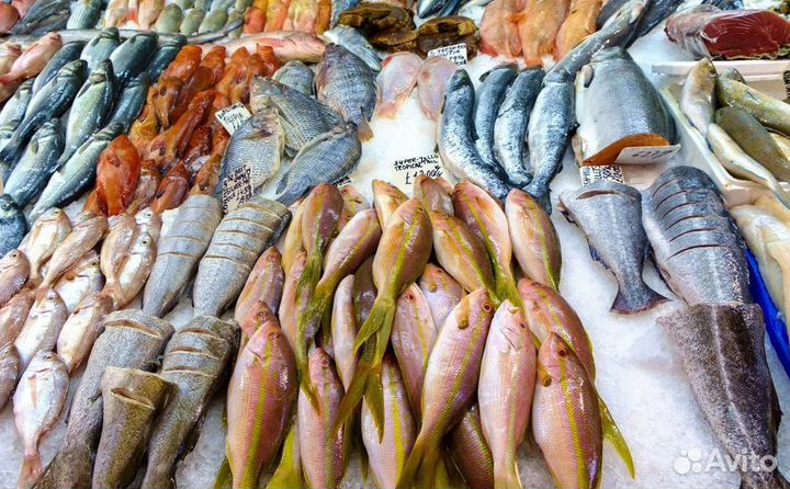 Франшиза: успешный старт бизнеса