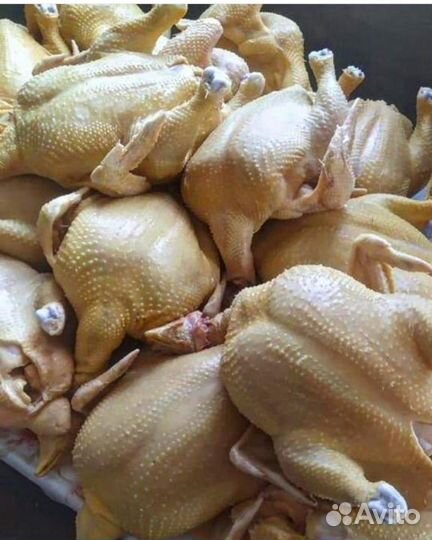 Мясо кур бройлер