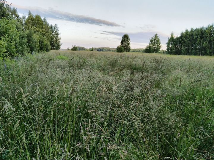 Участок 25 сот. (СНТ, ДНП)