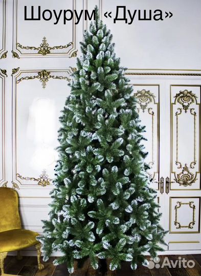 Ель заснеженная 210