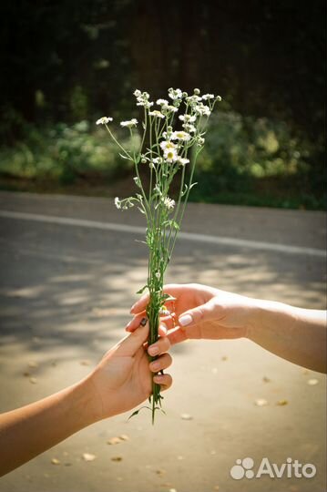 Начинающий фотограф