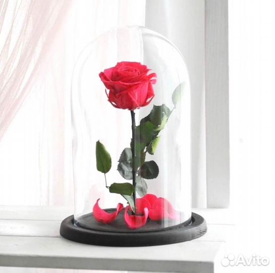 Неувядающая роза в колбе