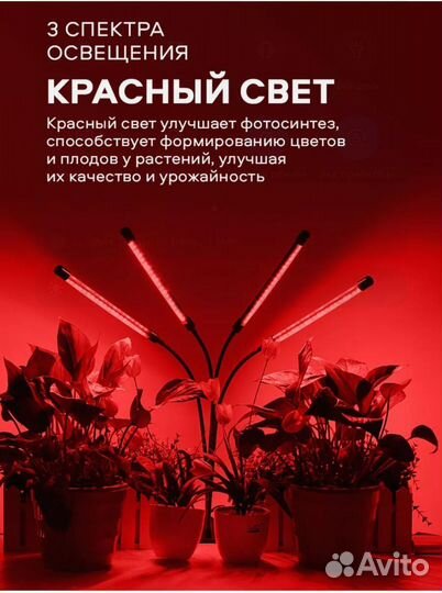 Фитолампа для растений