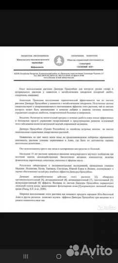 Примула комнатная и джинура