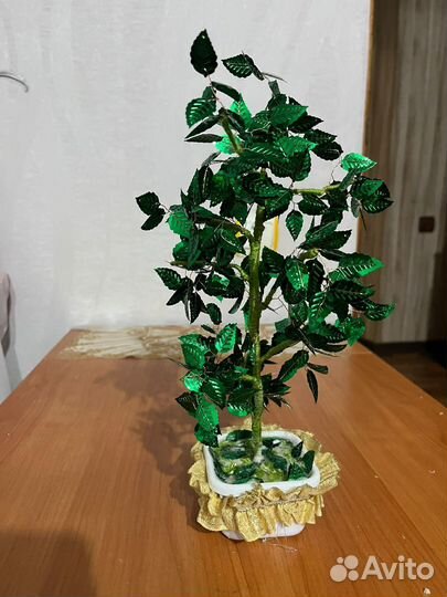 Дерево денежное