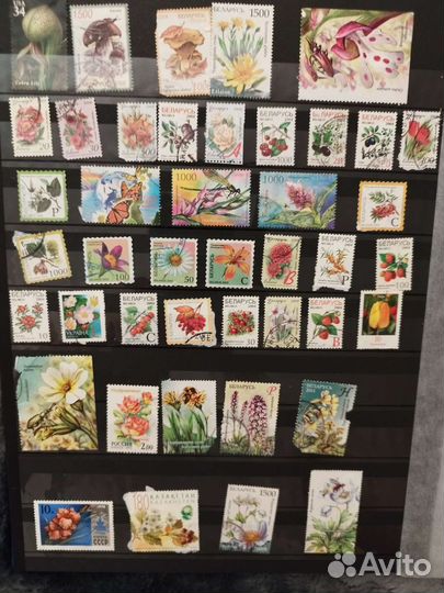 Почтовые марки (Россия, Беларусь, Казахстан)