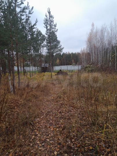 Участок 8 сот. (СНТ, ДНП)