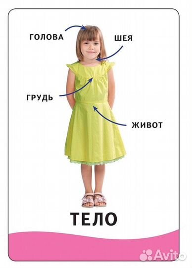 Умные карточки. Тело человека