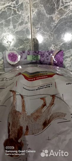 Сухой корм для собак