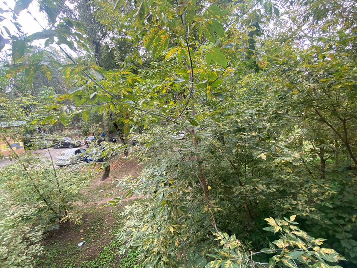 2-к. квартира, 45 м², 2/5 эт.