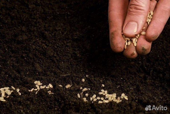 Плодородный грунт, земля