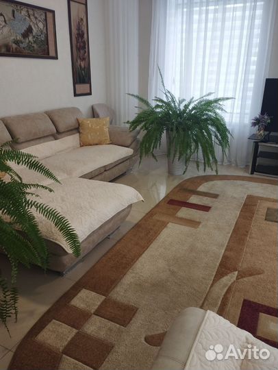 Папоротник