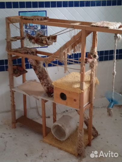 Кошкин дом